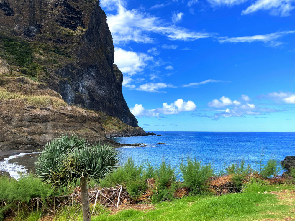 The Madeira coastline